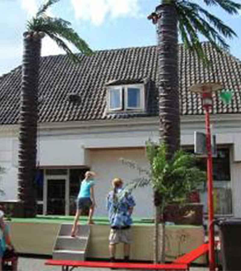 Palmenklettern