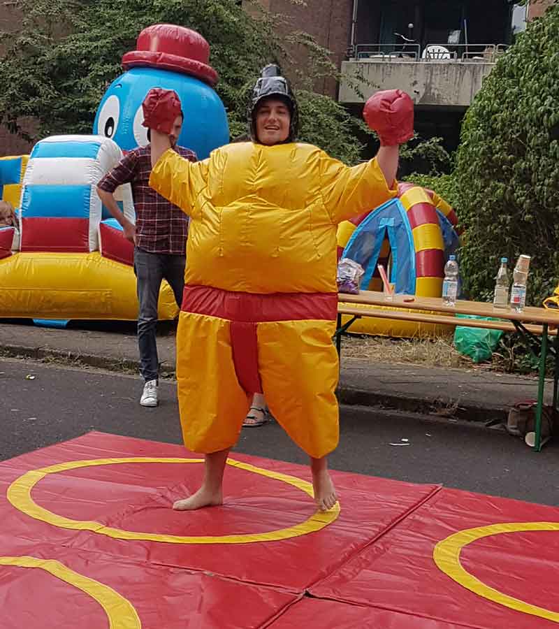 Sumo Wrestling 