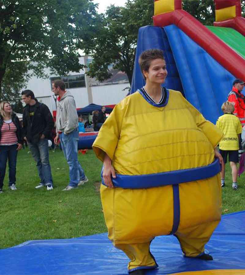 Sumo Wrestling 